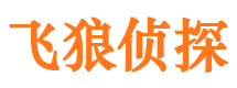 静海外遇调查取证